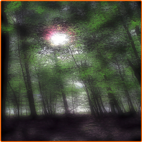 [Image: n5urx289bdvr.png]