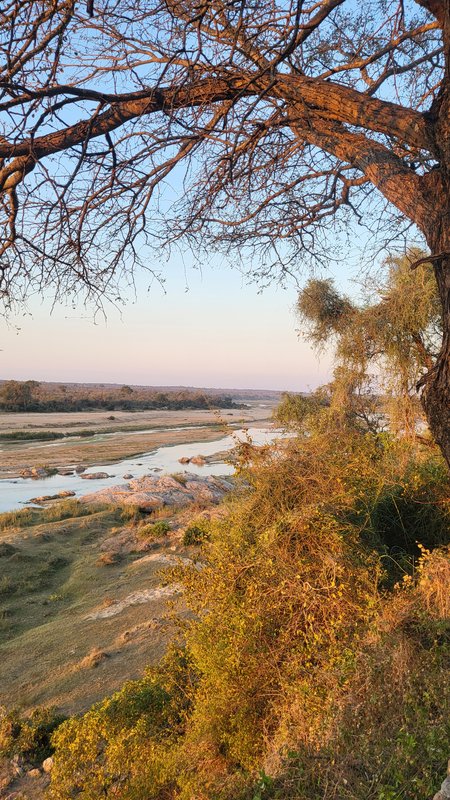 Африканские каникулы - зверики Крюгера, пески Намибии, воды Виктории