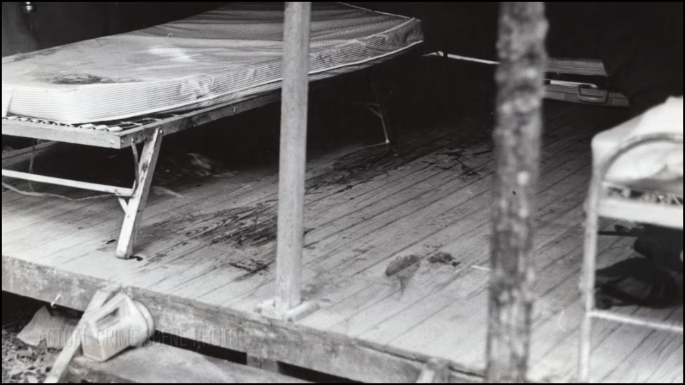 [Image: i96av2f2oagw.png]