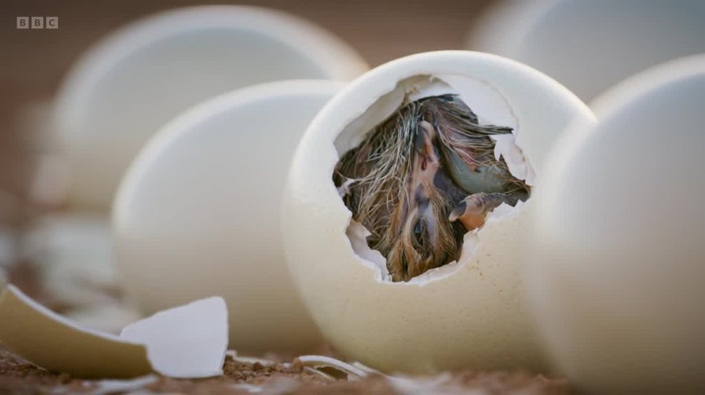 [Image: jdynve142g9q.jpg]