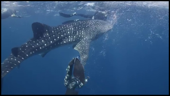 [Image: g96fgsg8u1mt.png]