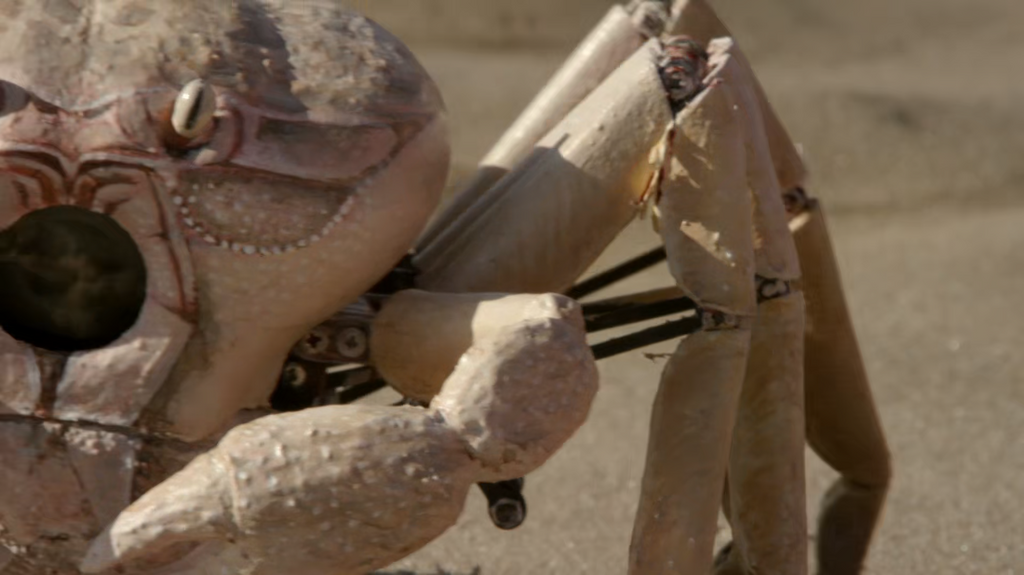 [Image: 5ibz2rkyy37s.png]