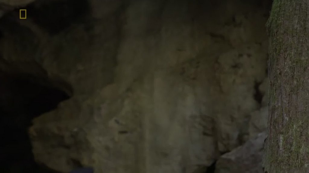 [Image: 1t9k79qwoxfr.jpg]