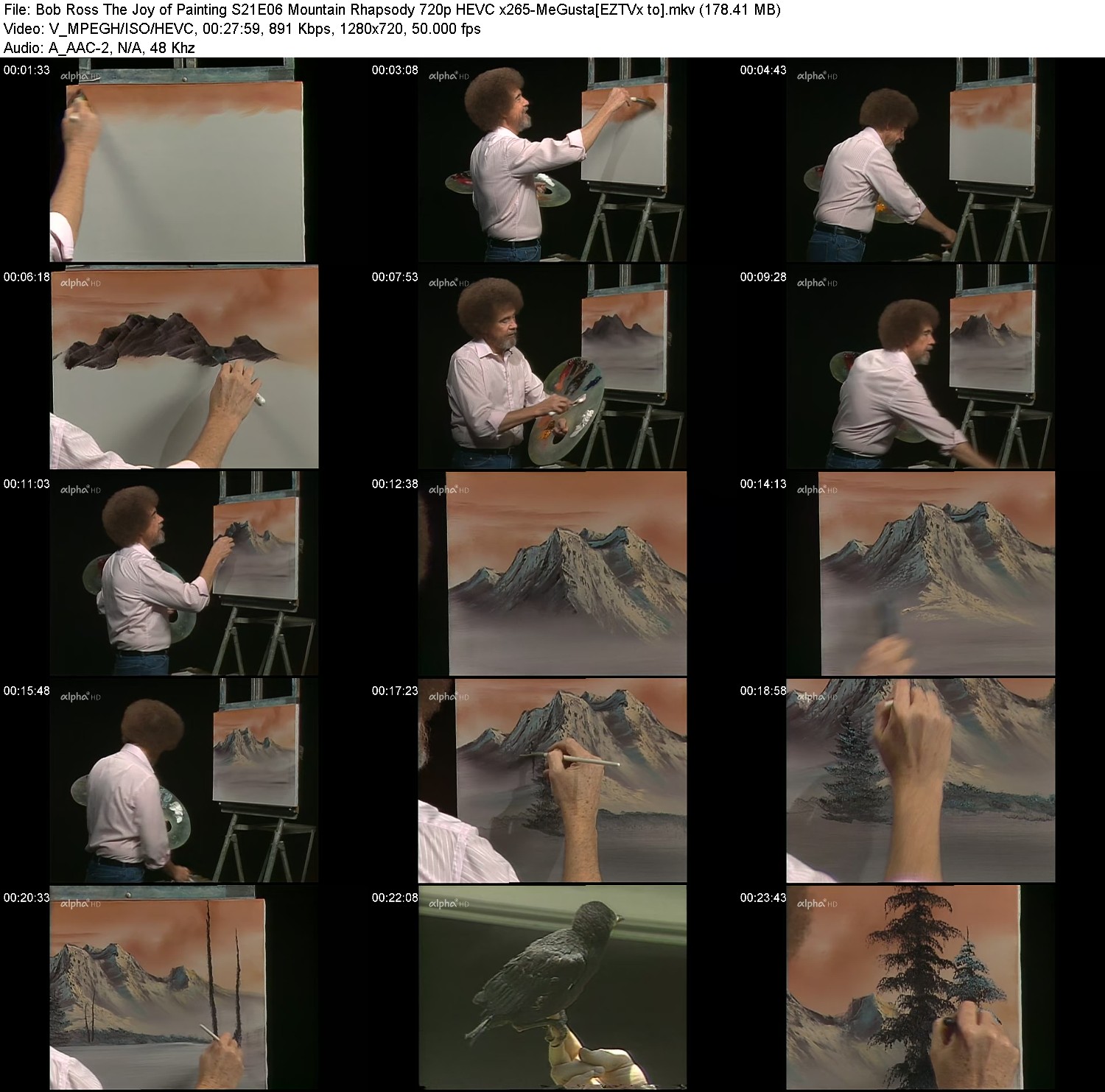 [Image: yvp5d55hqd9r.jpg]