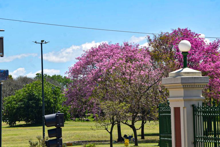 В джазе только девушки или аргентинско-бразильский калейдоскоп В джазе только девушки или аргентинско-бразильский калейдоскоп