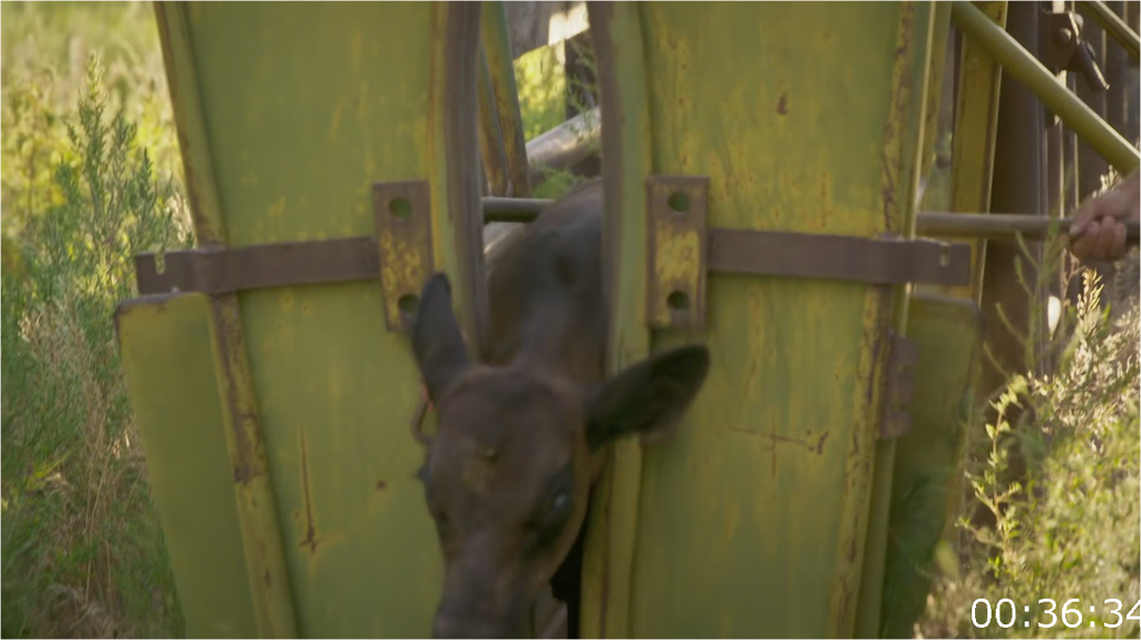 [Image: l622pgq2veyv.png]