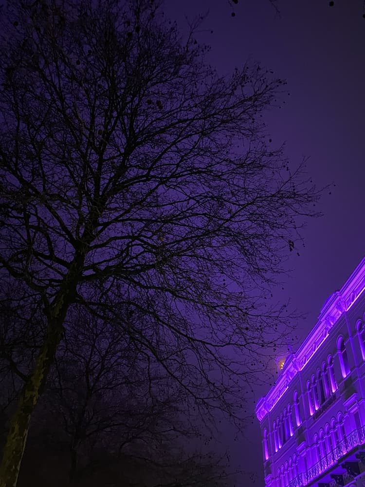The museum, and many other places, were lit pink for women’s day! Ignore that it looks more purple in the photo lol