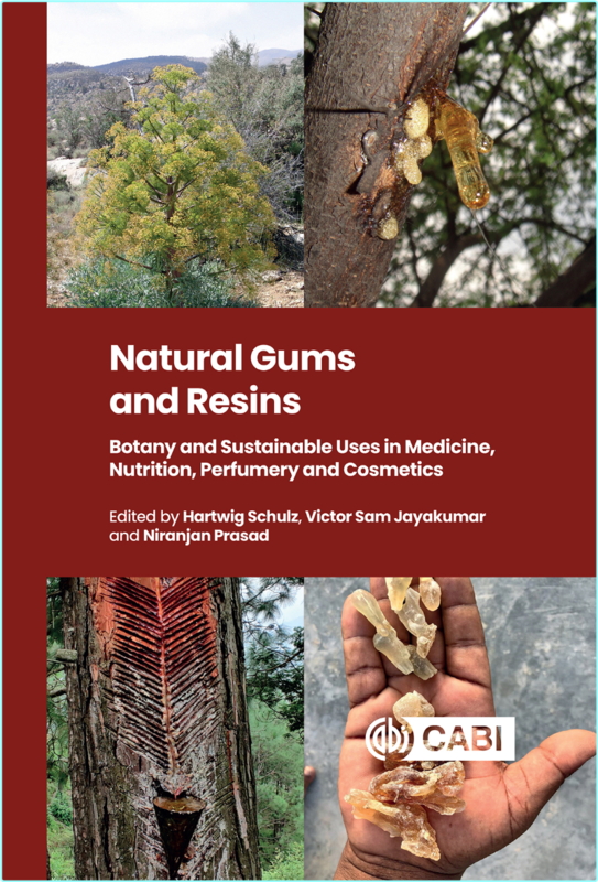 Natural Gums And Resins Botany And Sustainable Uses In Medicine Nutrition Perfumery And Cosmetics (Hartwig Schulz, Victor Sam Jayakumar, Niranjan P…
