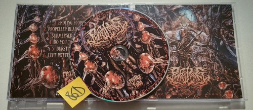 Purulence - Resurrected in Agony (2026) FLAC