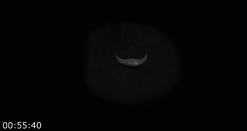 [Image: na16qt4k7jot.png]