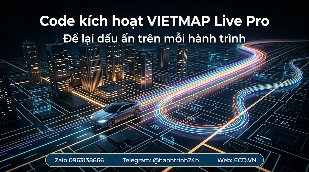 vietmap pro senior driver