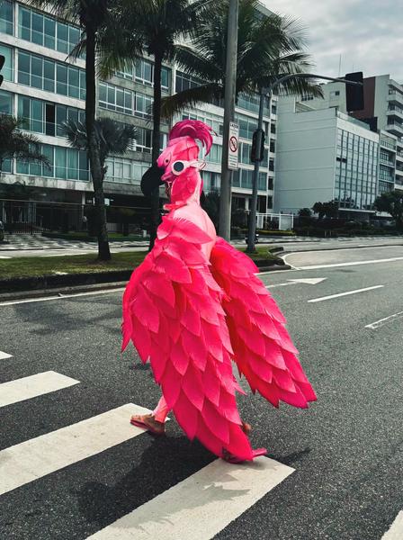 В джазе только девушки или аргентинско-бразильский калейдоскоп В джазе только девушки или аргентинско-бразильский калейдоскоп