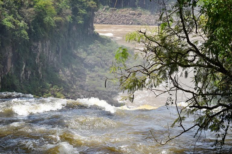 В джазе только девушки или аргентинско-бразильский калейдоскоп В джазе только девушки или аргентинско-бразильский калейдоскоп
