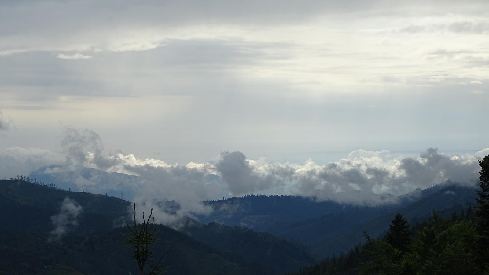 DSC01919.jpg