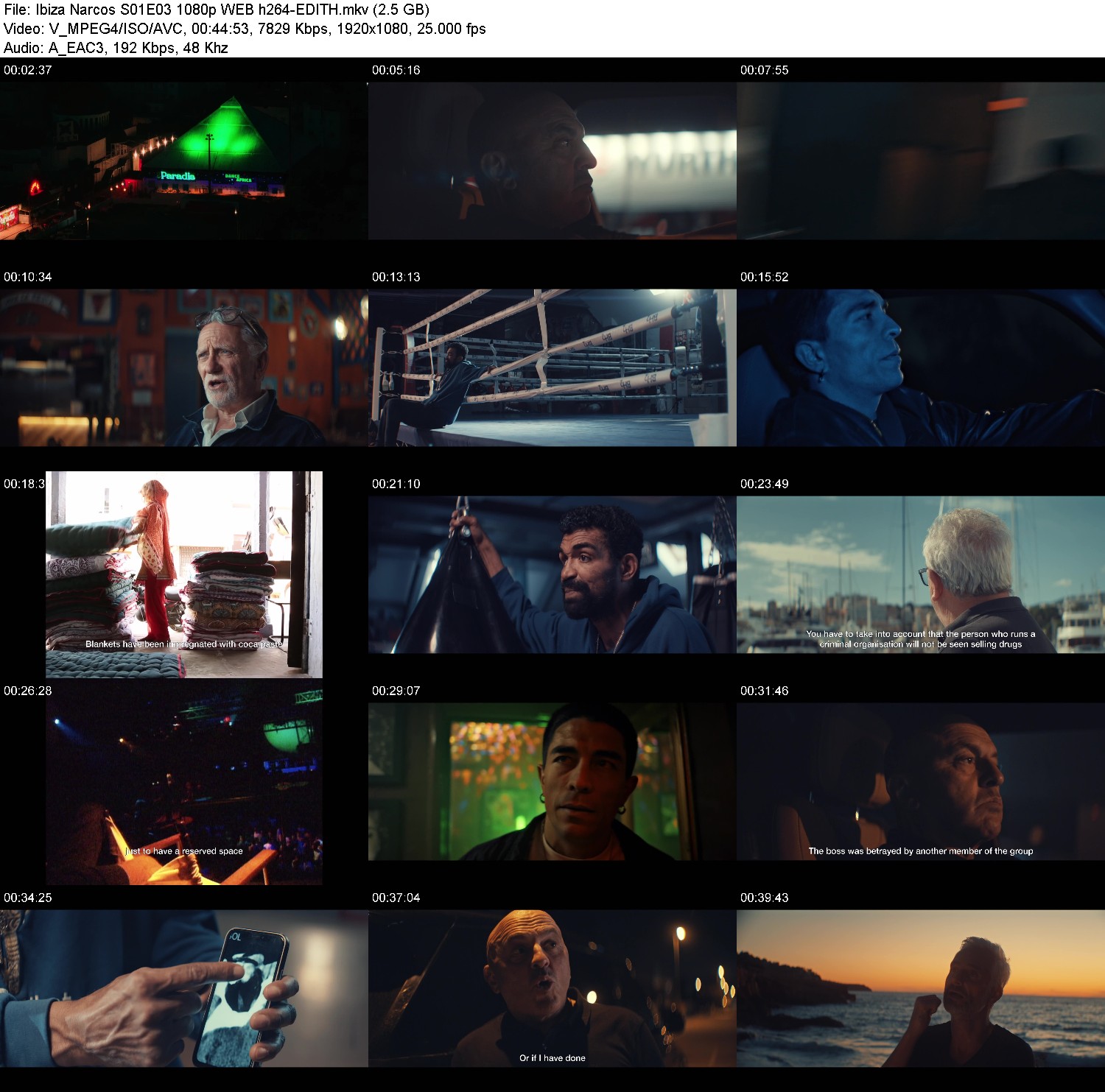 [Image: h9jfor82o6ex.jpg]