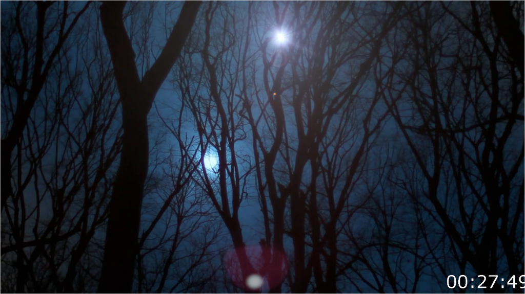 [Image: 6uldyvl3j6v3.png]