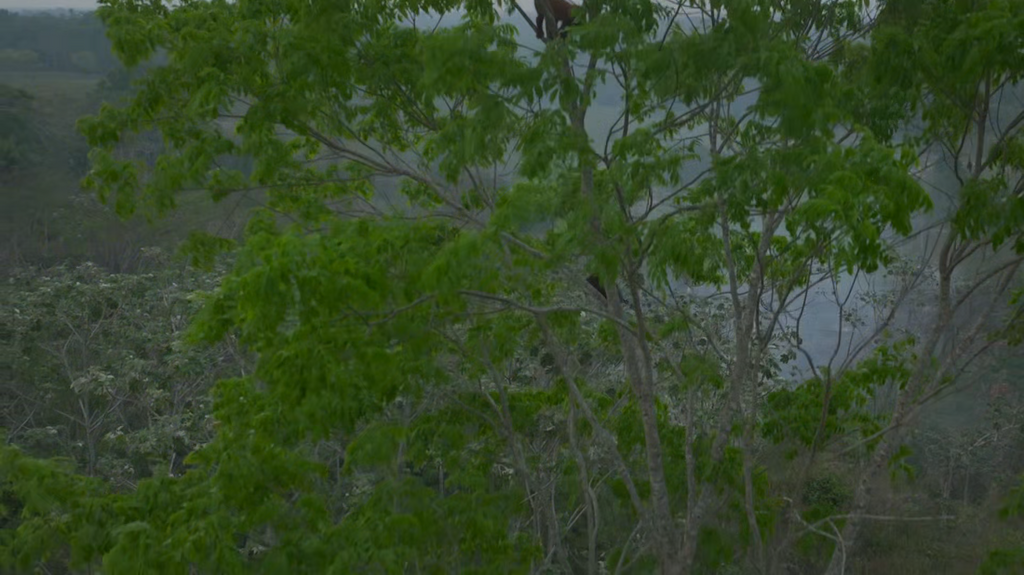 [Image: gtz3ntyhz093.png]