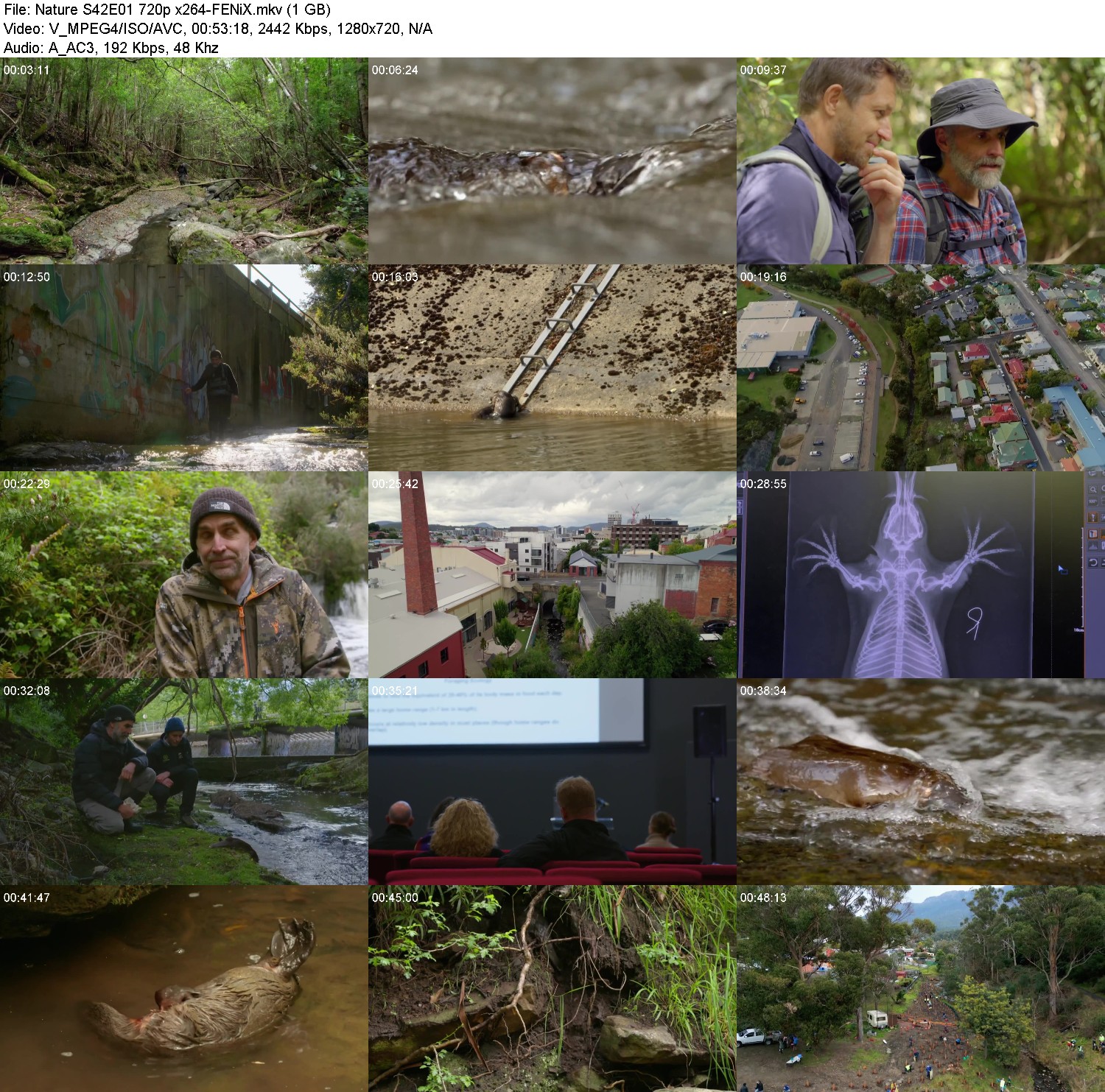 [Image: yyevq37ix54k.jpg]