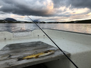 3A544A99-F7B3-4DF6-9657-FEEA086A4641