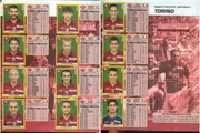 Album-Calciatori-2007-08-Panini-40