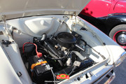 IMG-1841