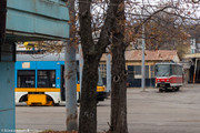 IMG-2338