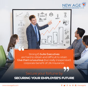 c-suite-executives