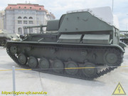 IMG-8619