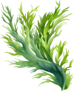 DWD-Fantastic-Water-World-Element-54