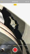 IMG-0463.png