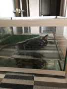 B1E6C601-8DB6-4C45-9E53-4C147750C320