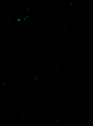 202601_diff_tf_2g