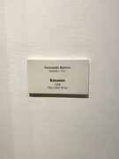 IMG-7977