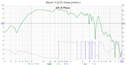 [Image: Beyma-12-g125-champ-proche-2.jpg]