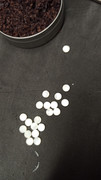 IMG-20240731-WA0074