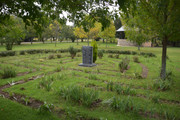 DSC-0040
