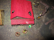 IMG-9388