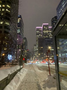 430dffceea451f7bae546558c0dffea3