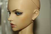 IMG-8010