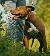 Screenshot_20230627_234923_Gallery