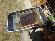 [Obrázky: DSC02837.jpg]
