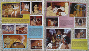 IMG-0009
