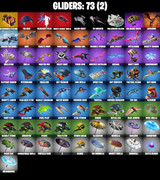 gliders-comp