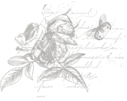 Lilas_Celebrate_stamp_2b