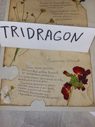 IMG_20250817_204416_242