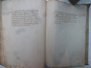 P1130356
