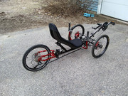 Dormant red w black W1 NT rr rt