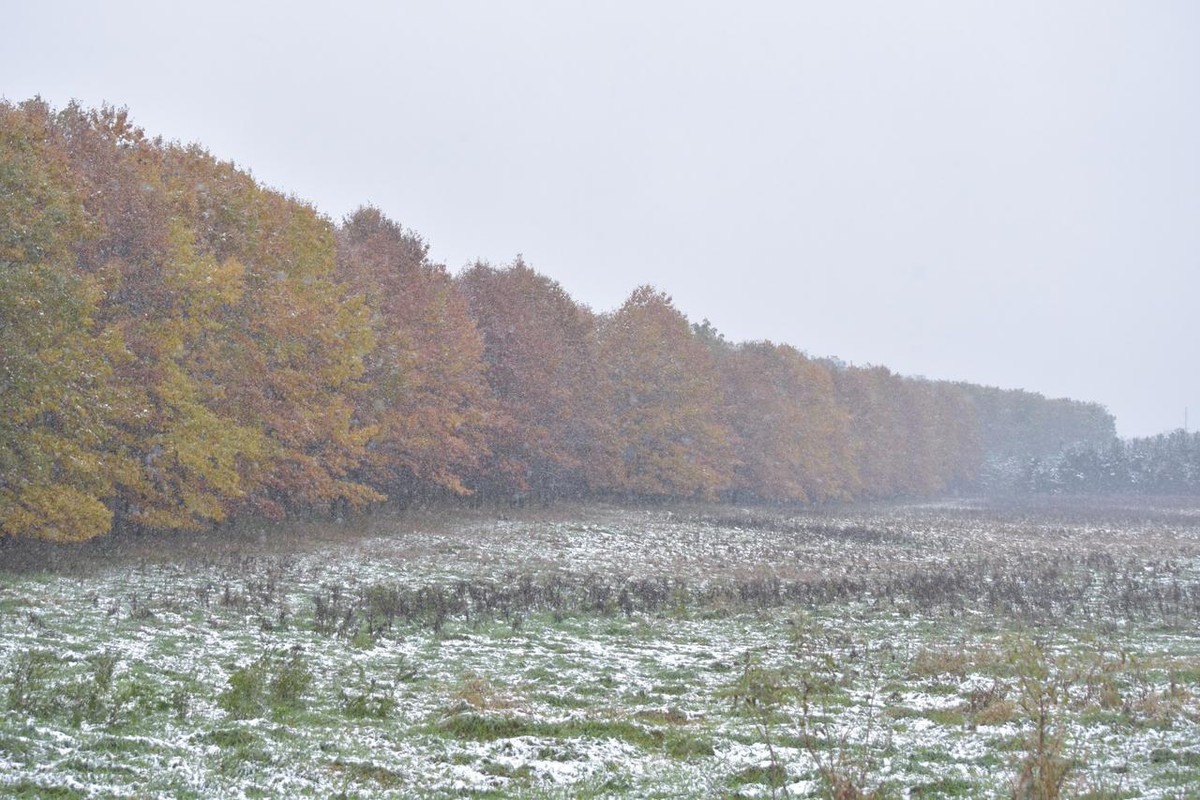 A098F031-0D4E-4561-A90D-E813FE67FD05