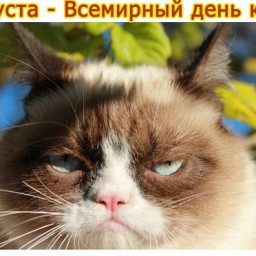Метеочувствительные Дни В Октябре 2022 Метеочувствительные Дни В Октябре 2022
