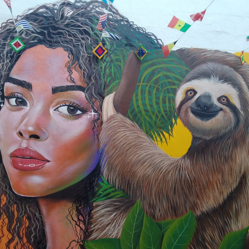 Зимовка 2026, полтора месяца в Колумбии.